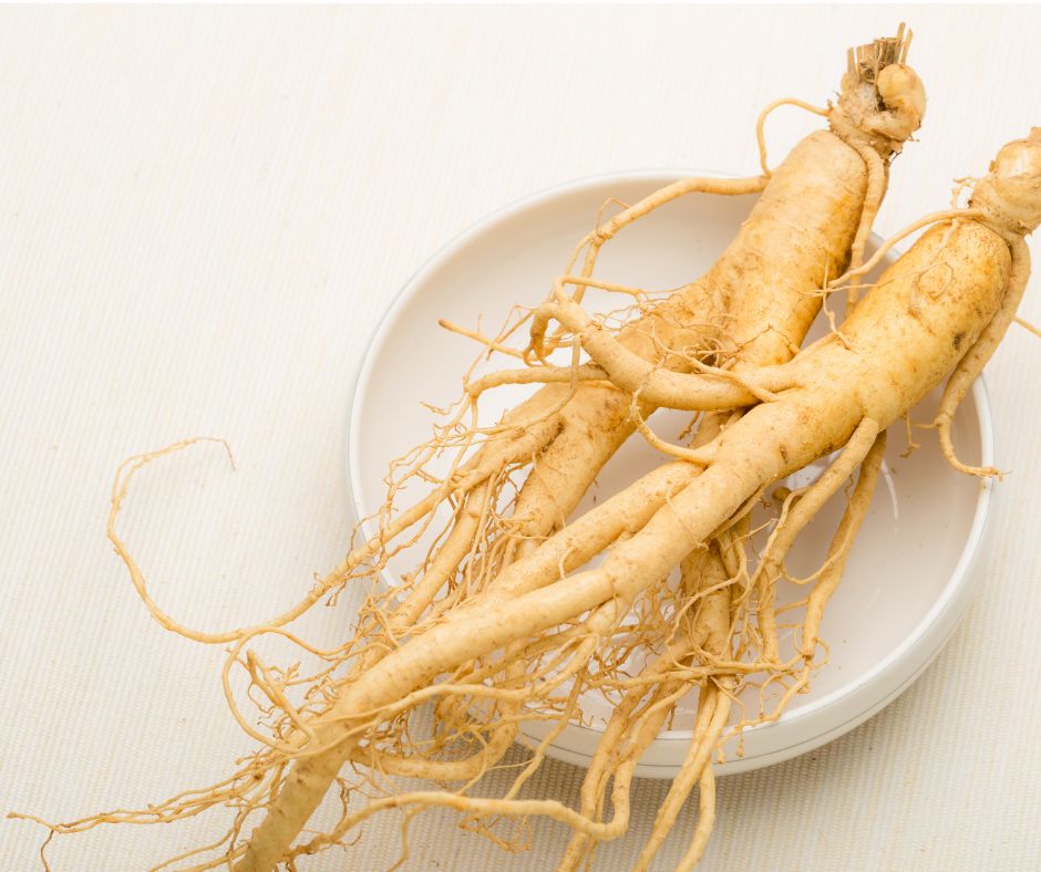 white-korean-ginseng-weight-loss-via-brown-fat-activation-side-effects-usage